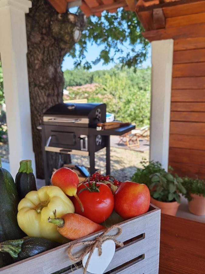 Apartment Luce Pićan Dış mekan fotoğraf